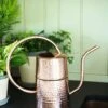 Copper Indoor Watering Can -Garden Supplies Shop 8593724 5369 tif