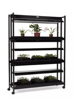 High Intensity 3-Tier SunLite® Garden -Garden Supplies Shop 8593944 1608 tif
