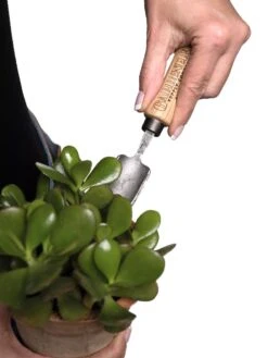 Gardener's Lifetime Mini Trowel 8 Gardener's Lifetime Mini Trowel -Garden Supplies Shop 8594146 0111 tif