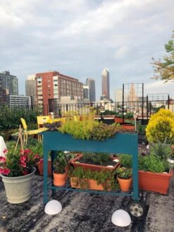 Demeter Mobile Planter Cart 14 Demeter Mobile Planter Cart -Garden Supplies Shop 8594148 01CUST tif