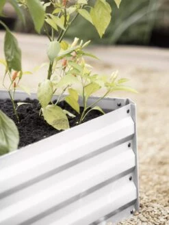 Demeter Corrugated Metal Raised Bed, 34" X 34" 14 Demeter Corrugated Metal Raised Bed, 34" X 34" -Garden Supplies Shop 8594183 570 tif 1