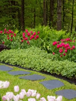 Recycled Rubber Flagstone Stepping Stone -Garden Supplies Shop 8594282 518 tif