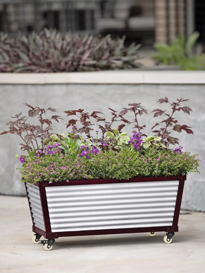 Short Galvanized Self-Watering Trough Planter 3 Short Galvanized Self-Watering Trough Planter