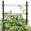 Gardener's Revolution® Classic Tomato Extension -Garden Supplies Shop 8594367 0047 001E gardeners revolution classic tomato cage extension tif
