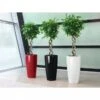 Lechuza® Rondo Self-Watering Planters 1 Lechuza® Rondo Self-Watering Planters -Garden Supplies Shop 8594586 01V tif