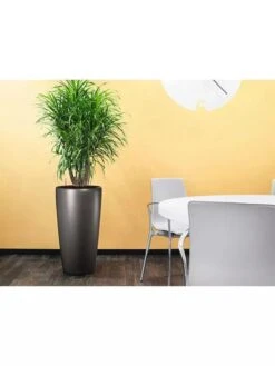 Lechuza® Rondo Self-Watering Planters -Garden Supplies Shop 8594586 02V tif