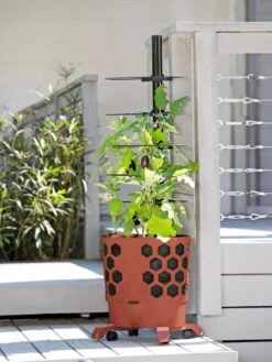Gardener's Revolution® Tomato Planter -Garden Supplies Shop 8594743 2618 tif