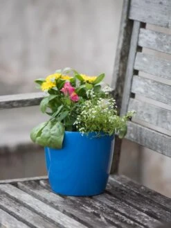 Viva Round Self-Watering Planter, 7" Diameter -Garden Supplies Shop 8595222 1143 tif