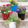 Viva Round Self-Watering Planter, 7" Diameter -Garden Supplies Shop 8595222 5302 tif
