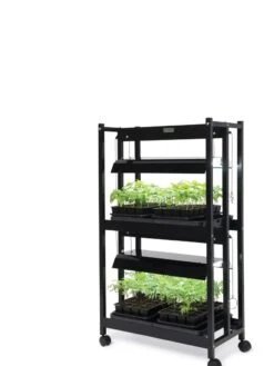 LED SunLite® Compact 2-Tier Garden 12 LED SunLite® Compact 2-Tier Garden -Garden Supplies Shop 8595556 10132 tif