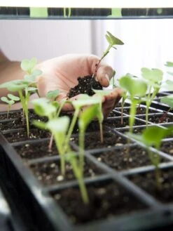 LED Stack-n-Grow Lights - Base Unit -Garden Supplies Shop 8595770 7373 tif