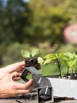 Galvanized Seed Starting Tray -Garden Supplies Shop 8595893 4382 tif