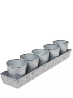 Galvanized Herb Planters With Rectangular Tray -Garden Supplies Shop 8595903 3924 tif