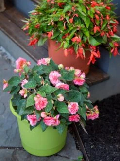 Eezy Gro Self-Watering Planters -Garden Supplies Shop 8596427 0034 tif