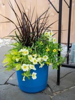 Garden Supplies Shop -Garden Supplies Shop 8596427 0035 tif