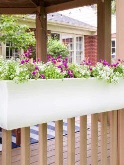 Valencia Window Box, 4' 11 Valencia Window Box, 4' -Garden Supplies Shop 8596437 006V tif