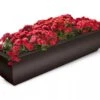 Valencia Window Box, 4' -Garden Supplies Shop 8596437 10V tif