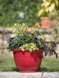 Mazzano Self-Watering Planters -Garden Supplies Shop 8596564 4883 tif