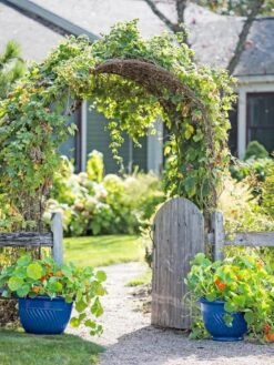 Garden Supplies Shop -Garden Supplies Shop 8596570 10231 tif