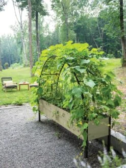 Self-Watering Elevated Planter Box, 2' X 8' 27 Self-Watering Elevated Planter Box, 2' X 8' -Garden Supplies Shop 8596760 0046 tif