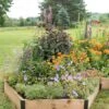 Pollinator Garden Bed -Garden Supplies Shop 8597000 4103 tif