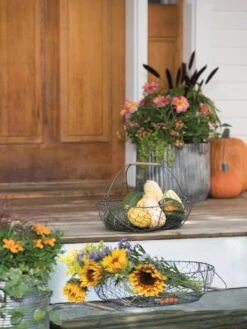 Galvanized Rim Planters -Garden Supplies Shop 8597379 1625 tif