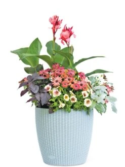 Weave Self-Watering Round Planter, 14" -Garden Supplies Shop 8597388 2175 tif