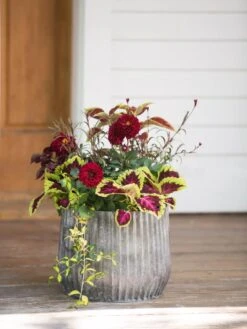 Galvanized Ribbed Planters -Garden Supplies Shop 8597435 1693 tif