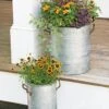 Galvanized Rim Planters -Garden Supplies Shop 8597442 1700 tif