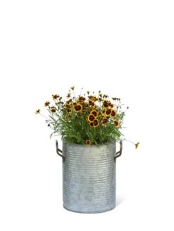 Galvanized Rim Planters -Garden Supplies Shop 8597442 1705 tif