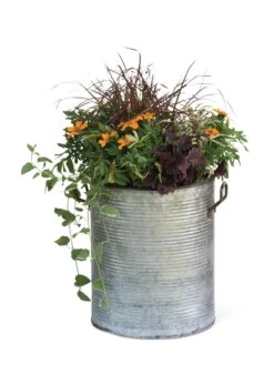 Galvanized Rim Planters -Garden Supplies Shop 8597443 1704 tif