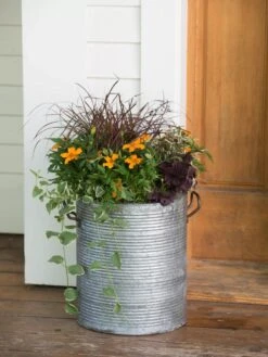 Galvanized Rim Planters -Garden Supplies Shop 8597443 1708 tif