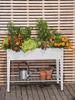 Demeter Elevated Raised Bed -Garden Supplies Shop 8597496 0700 tif