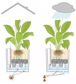 Lechuza® Cube Premium Planters -Garden Supplies Shop 8597506 05V tif