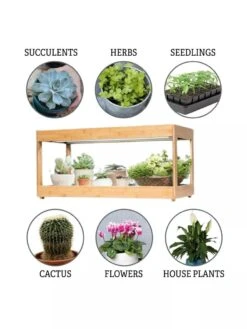 Low Bamboo LED Grow Light Garden -Garden Supplies Shop 8597720 3