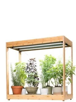 Medium Bamboo LED Grow Light Garden -Garden Supplies Shop 8597883 1011 tif