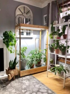 Tall Bamboo LED Grow Light Garden 14 Tall Bamboo LED Grow Light Garden -Garden Supplies Shop 8597884 01IN tif