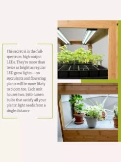 Bamboo LED Grow Light Garden For Succulents And Seeds -Garden Supplies Shop 8598084 7