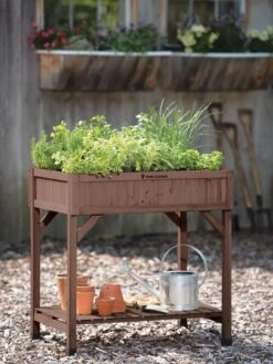 VegTrug® Herb Planter Box 12 VegTrug® Herb Planter Box -Garden Supplies Shop 8598287 00037 tif