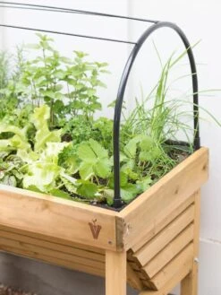 VegTrug® Mini Wallhugger Planter With Cover -Garden Supplies Shop 8598339 4004 tif
