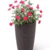 Weave Self-Watering Round Tall Planter, 12-1/2" -Garden Supplies Shop 8598371 3000 tif