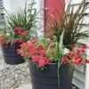 Gardener’s Victory Self-Watering Patio Planter -Garden Supplies Shop 8598395 4390 tif