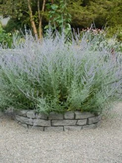 Rock Lock Interlocking Garden System, Curved Sets 13 Rock Lock Interlocking Garden System, Curved Sets -Garden Supplies Shop 8598737 04V tif