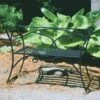 Achla Designs Wrought Iron Arbor Bench With Back -Garden Supplies Shop 8598749 01V tif