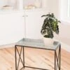 Plant Stand With Galvanized Tray -Garden Supplies Shop 8599022 14588 tif