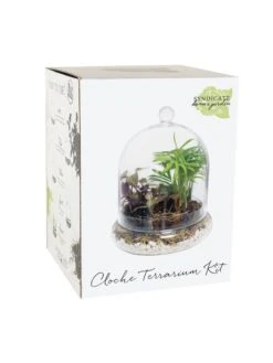 Cloche Terrarium Kit Medium -Garden Supplies Shop 8599148 01v