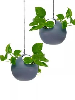 Exaco Euro Hanging Planters, Set Of 2 -Garden Supplies Shop 8599179 04V tif