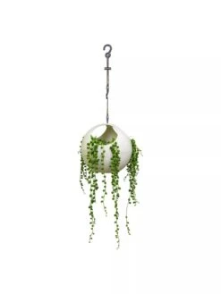 Exaco Euro Hanging Planters, Set Of 2 -Garden Supplies Shop 8599179 06V tif
