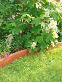 Curved Landscape Edging Kit With 2" Boards -Garden Supplies Shop 8599407 03V tif