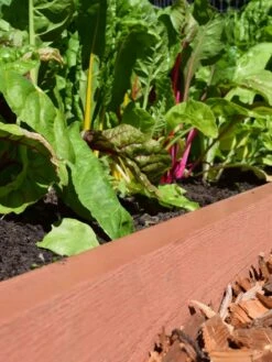 Straight Landscape Edging Kit With 2" Boards -Garden Supplies Shop 8599408 02V tif